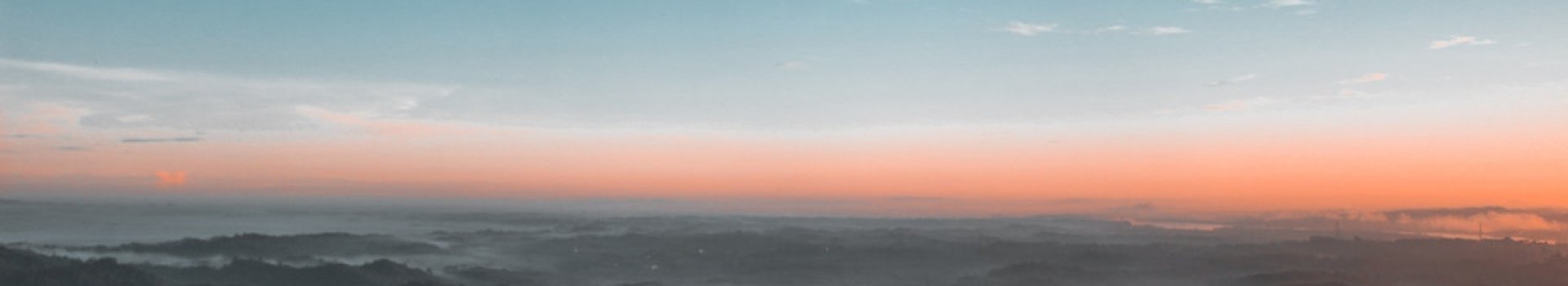 bird s eye view photography of green forest 1208379.jpg