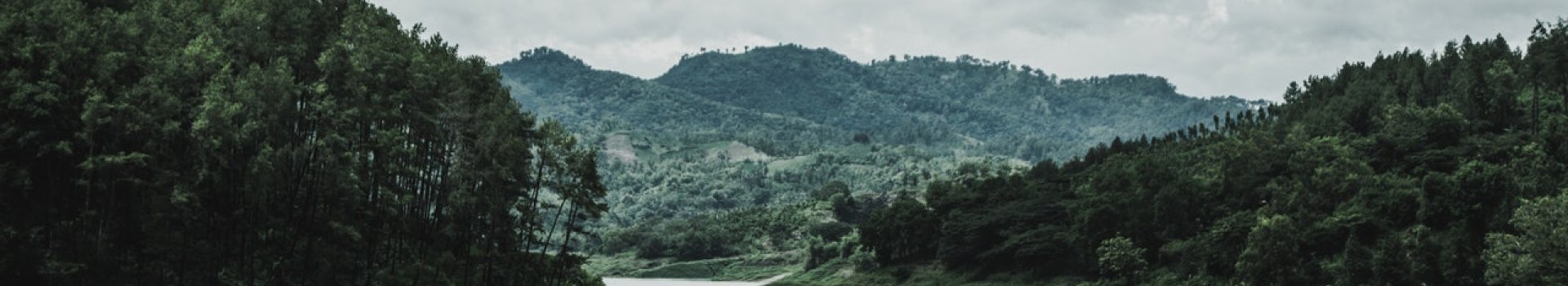 green grass field and mountain 1034887.jpg
