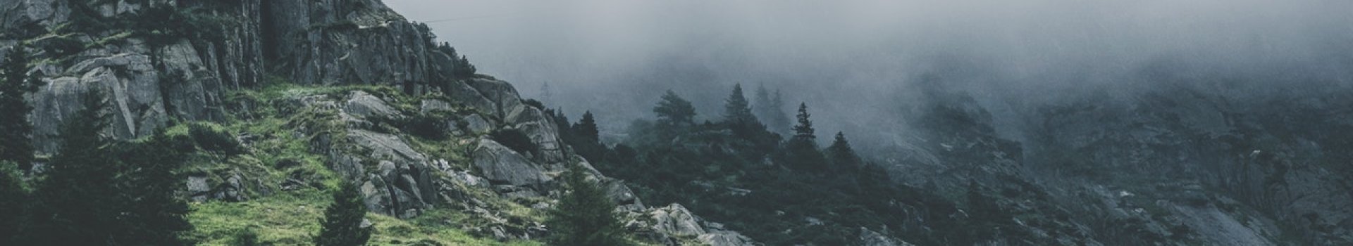 green leafed trees during fog time 167684.jpg